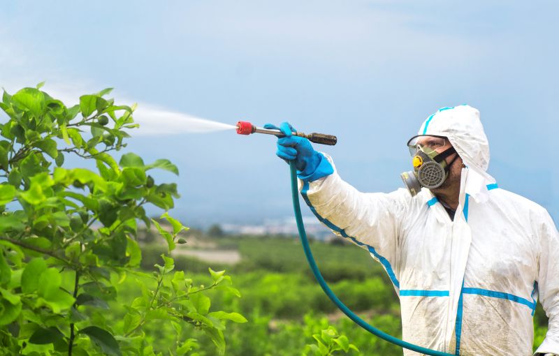 Commercial Fumigation in San Jose, CA