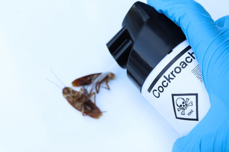 Cockroach Control