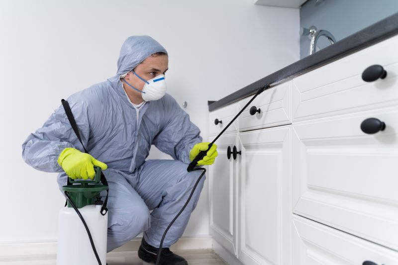 Yard Insect Treatment in Katy, TX