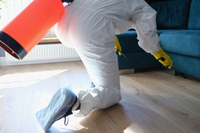 Spider Fumigation Service in Phoenix, AZ